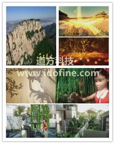 道方科技提供專業(yè)團隊優(yōu)質影視制作服務